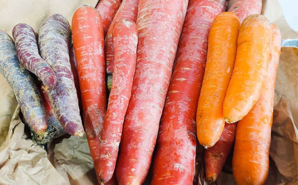 Verschiedene Karotten - violett, rot, orange